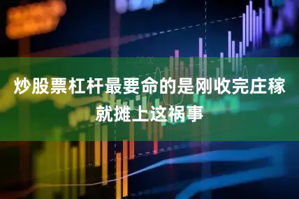 炒股票杠杆最要命的是刚收完庄稼就摊上这祸事