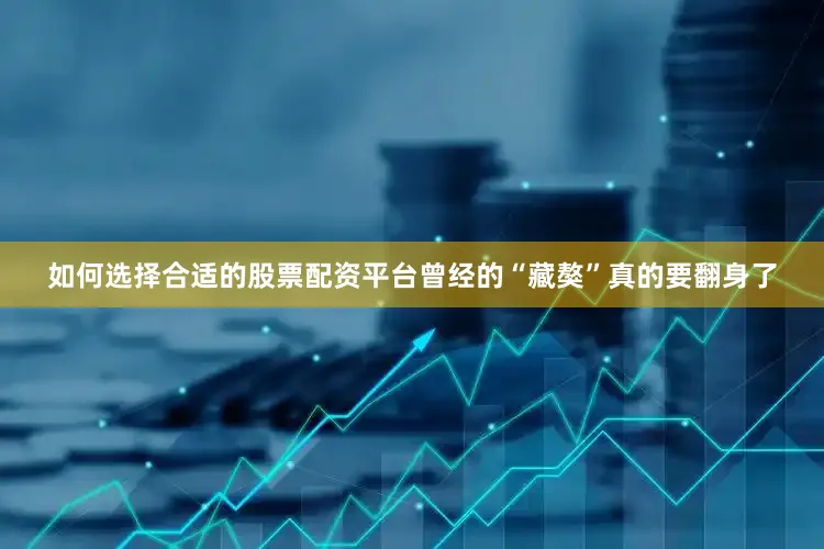 如何选择合适的股票配资平台曾经的“藏獒”真的要翻身了