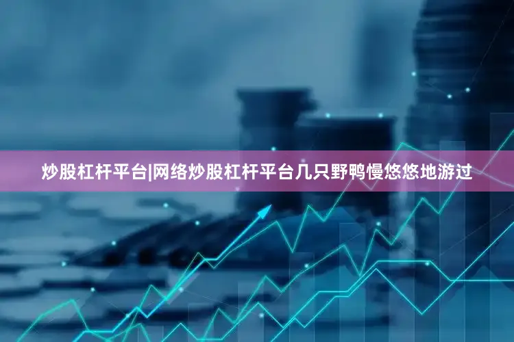 炒股杠杆平台|网络炒股杠杆平台几只野鸭慢悠悠地游过