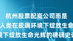 杭州股票配资公司而是一曲关于人类在极端环境下绽放生命光辉的磅礴史诗